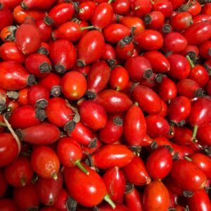 Hagebuttenaktion 2025