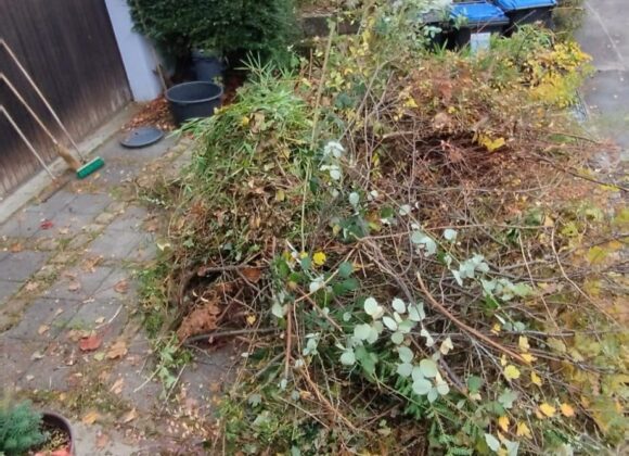 Einer für alle Fälle 2025 mit über 4000€ Erlös