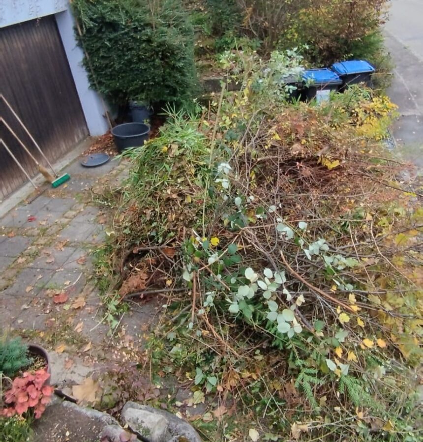 Einer für alle Fälle 2025 mit über 4000€ Erlös Einer für alle Fälle 2025 mit über 4000€ Erlös