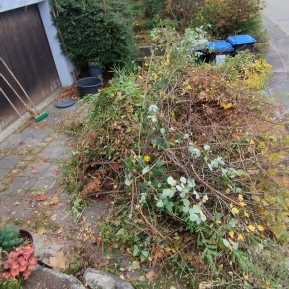 Einer für alle Fälle 2025