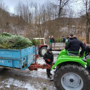 Christbaumsammlung 2026