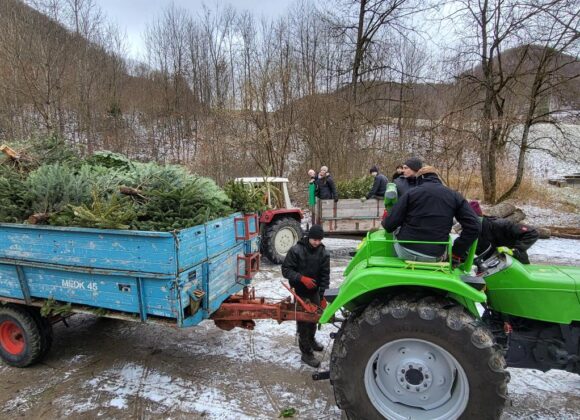 Christbaumsammlung 2026 Christbaumsammlung 2026