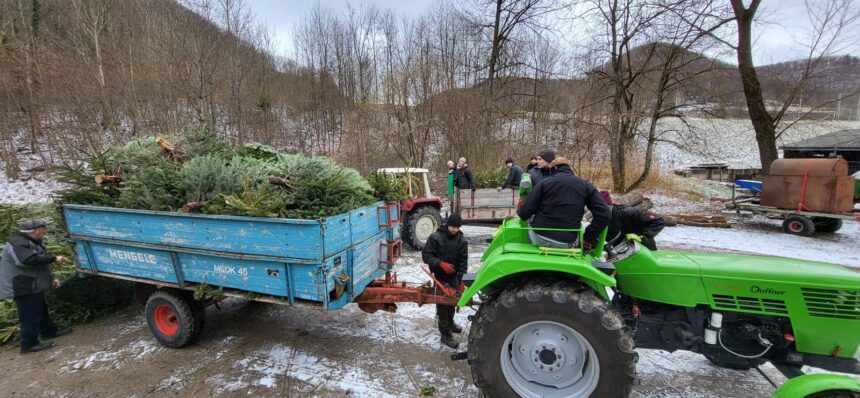 Christbaumsammlung 2026