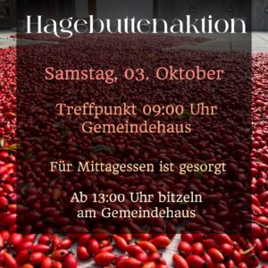 Hagebutten-sammlung am 03.10. Hagebutten-sammlung am 03.10.