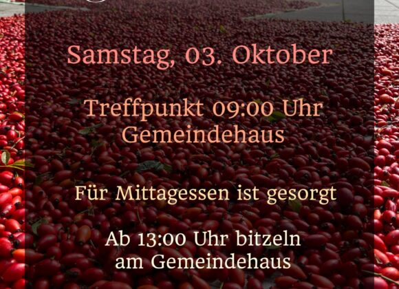 Hagebutten-sammlung am 03.10.