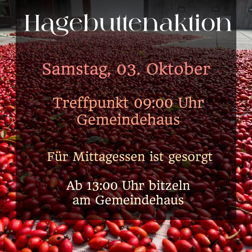 Hagebutten-sammlung am 03.10.